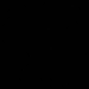 Meet your Posher, Aneesa